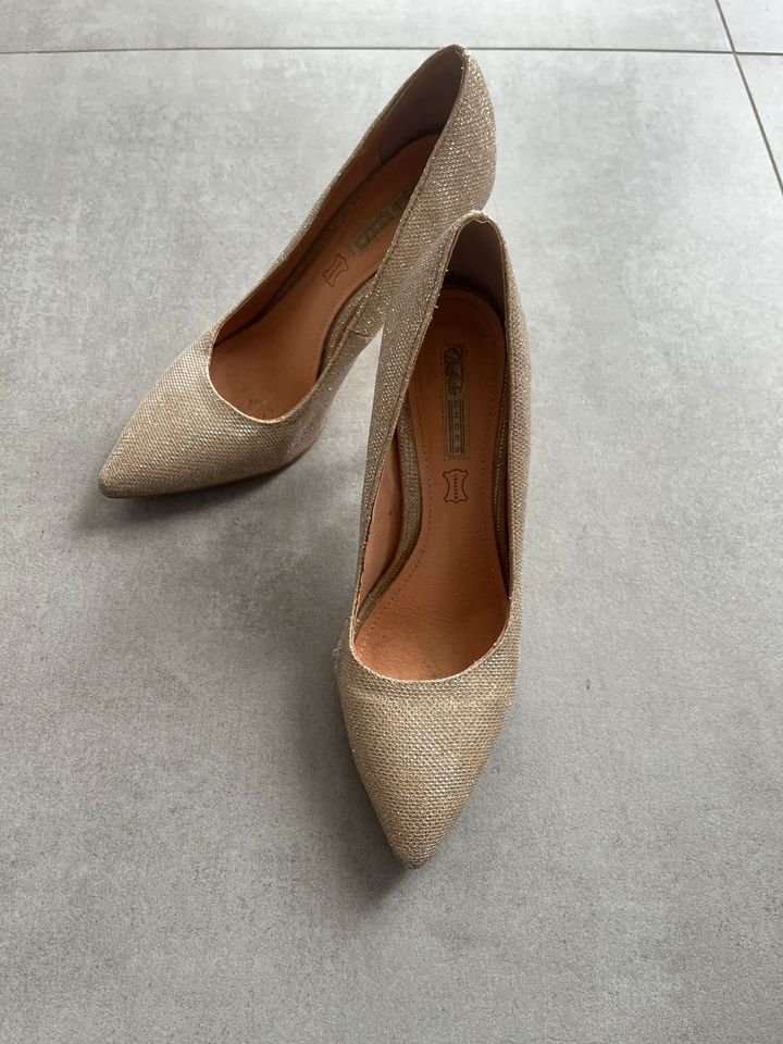 Buffalo Pumps in 41